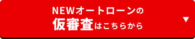 仮審査